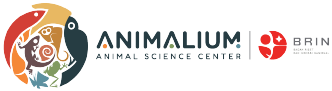 Animalium Logo